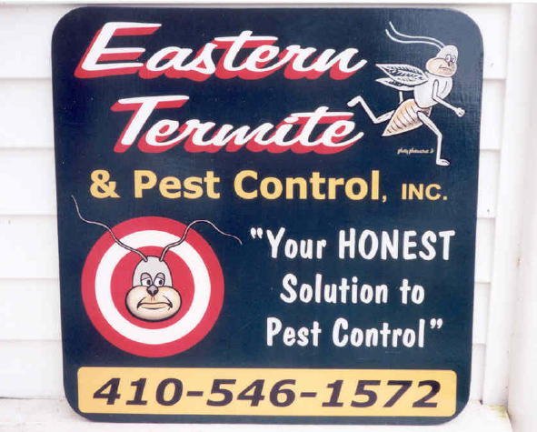 Easten Termite